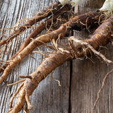 Burdock Root c/s 1 oz