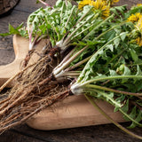Dandelion Root c/s 1 oz