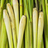 Lemongrass Essential Oil