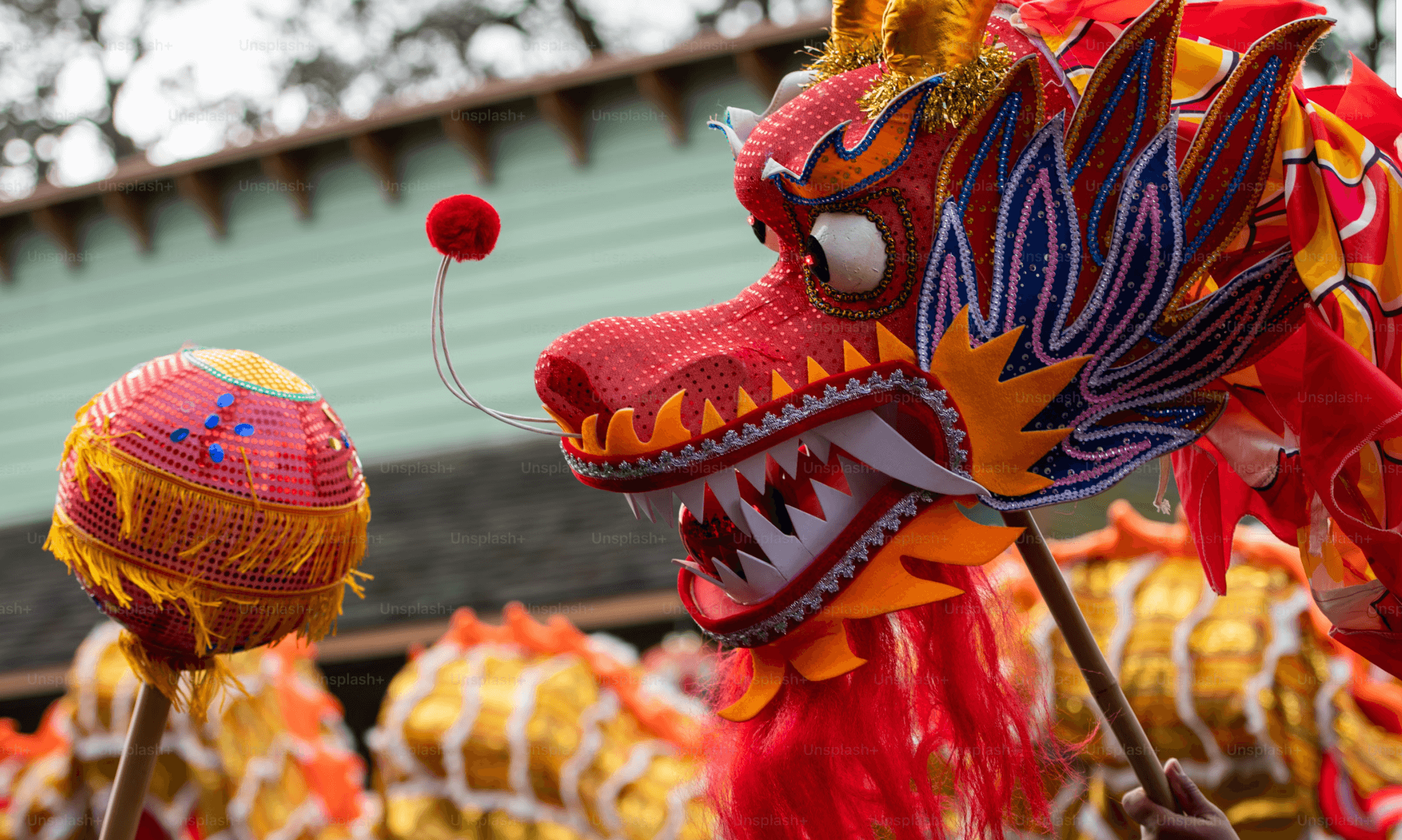 Happy Chinese New Year!
