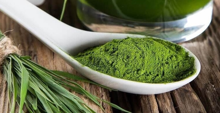 Why Green Drink?