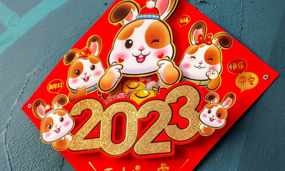 Year of the Water Rabbit