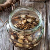 Burdock Root c/s 1 oz