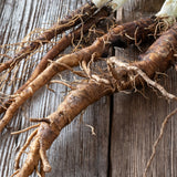 Burdock Root c/s 1 oz