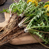 Dandelion Root c/s 1 oz